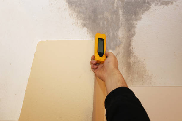 Best Real Estate Mold Inspection  in Silver Ridge, NJ