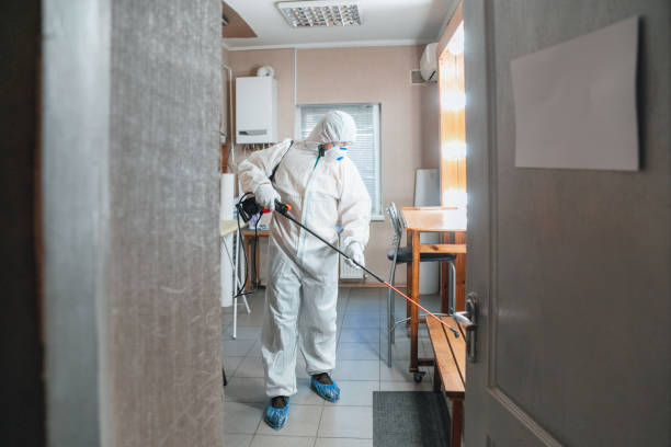 Best Biohazard Mold Removal  in Silver Ridge, NJ