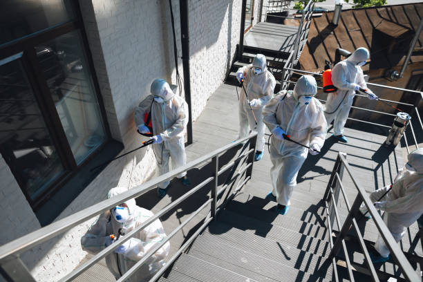 Best Black Mold Removal  in Silver Ridge, NJ