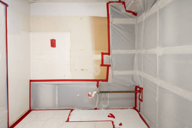Best Environmental Consulting for Mold Prevention  in Silver Ridge, NJ