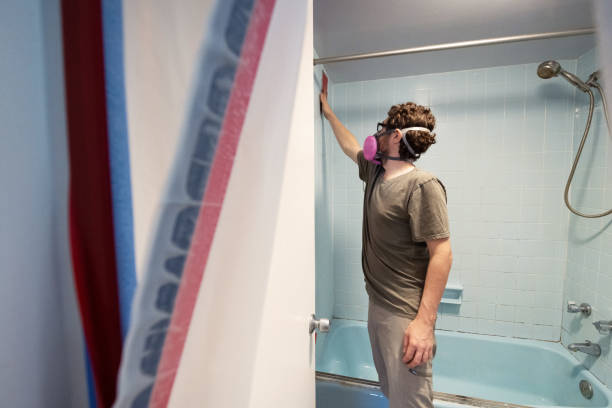 Best Dehumidification Services  in Silver Ridge, NJ