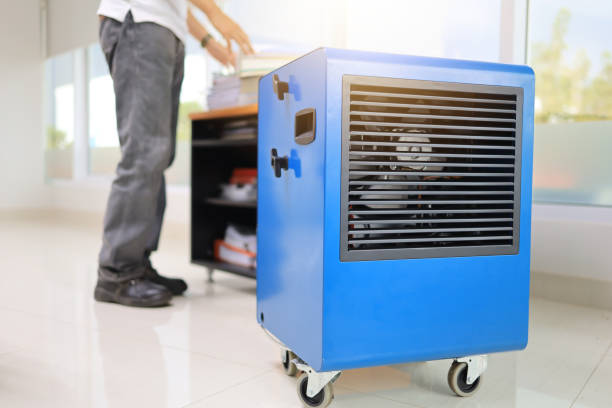 Best Mold Removal for HVAC Installations  in Silver Ridge, NJ