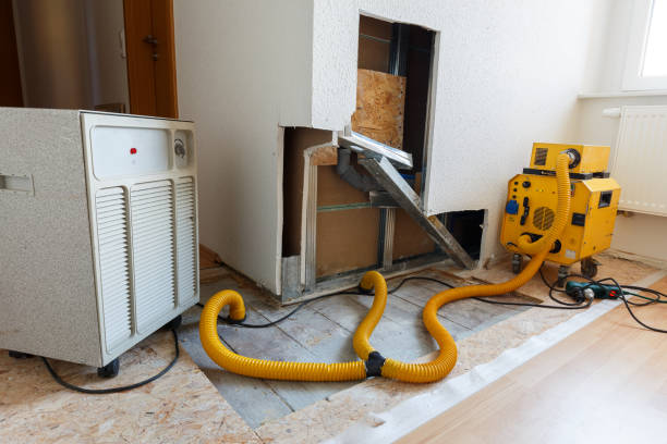Silver Ridge, NJ Mold Removal Company